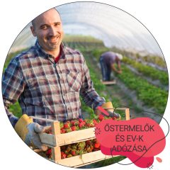 Az őstermelők és az egyéni vállalkozók átalányadózása 2026 (Videó)